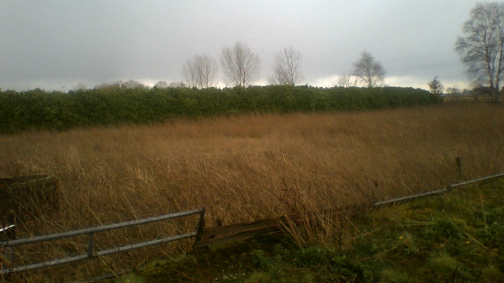 WIN_20140323_134725