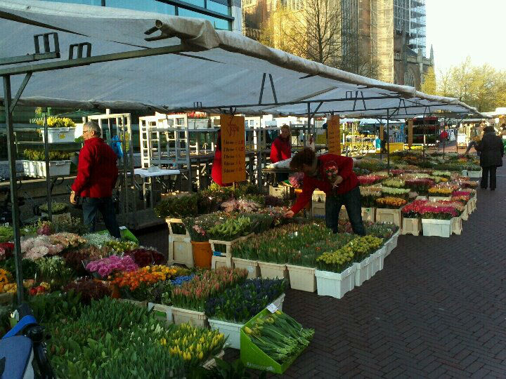 markt