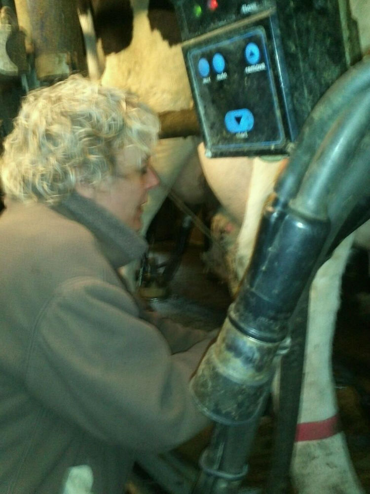 melken