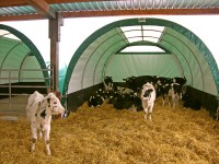 flexstal noviteit gouden hef 5