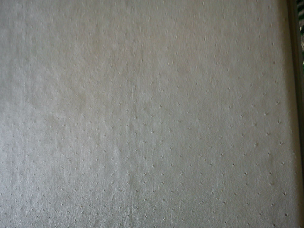 DSC00256