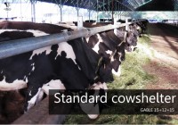 Cow shelter - new