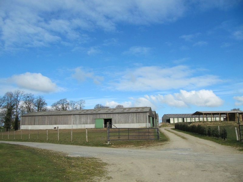 vue ensembel taurillons et VL 1