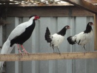 DSC00026