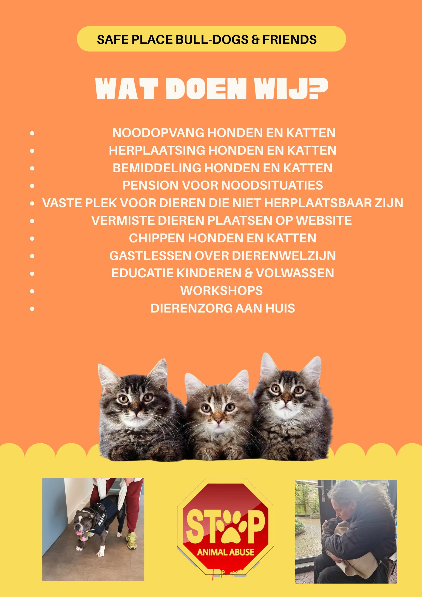 info 3 Safe place bull-dogs & Friens