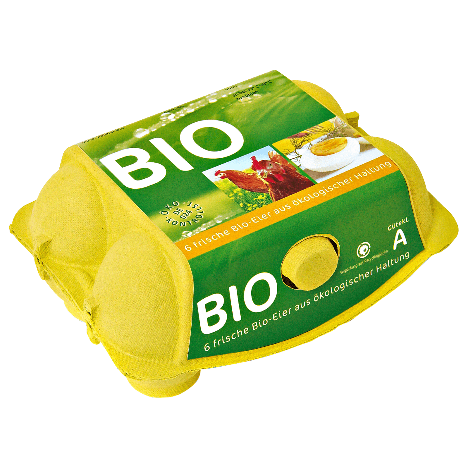 7324140_digital-image